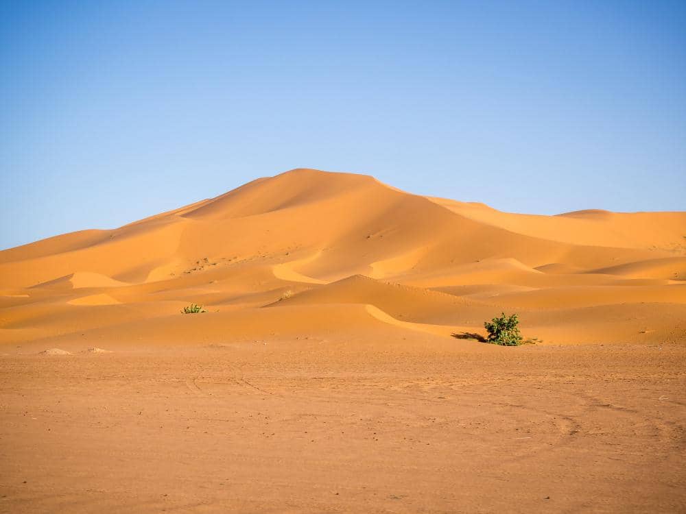 Truk Mogok di Gurun Sahara, 49 Warga Niger Tewas Dehidrasi