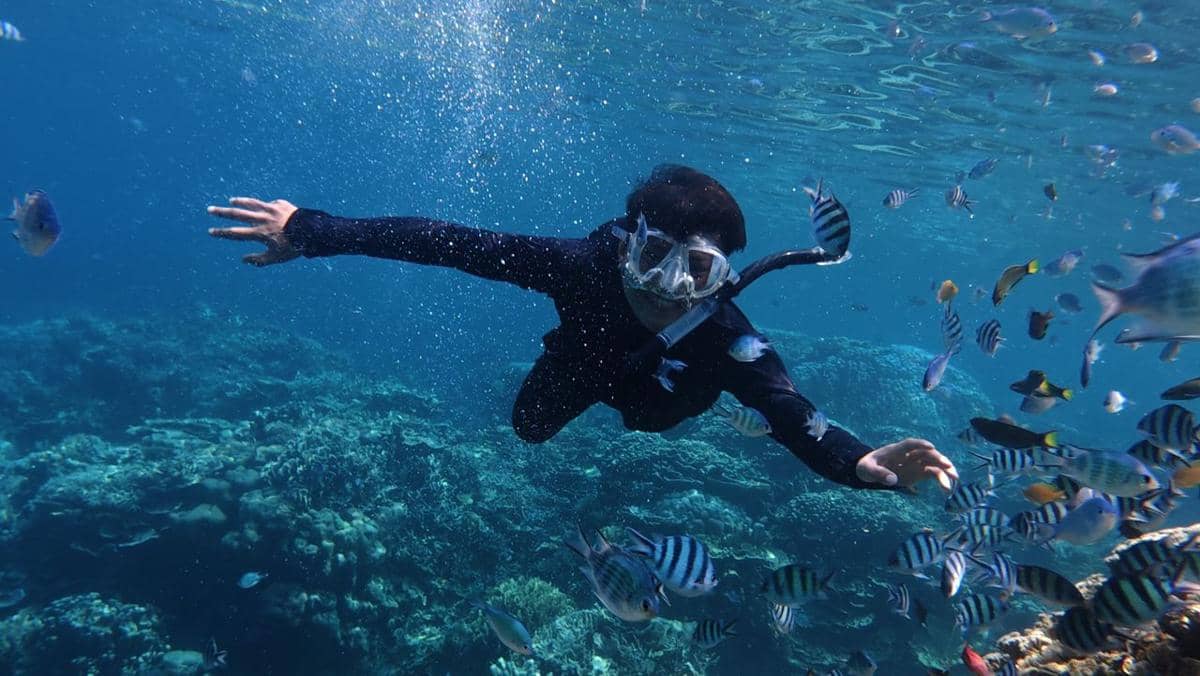 https://www.pexels.com/photo/snorkeling-adventure-in-clear-waters-of-jawa-tengah-34839987/