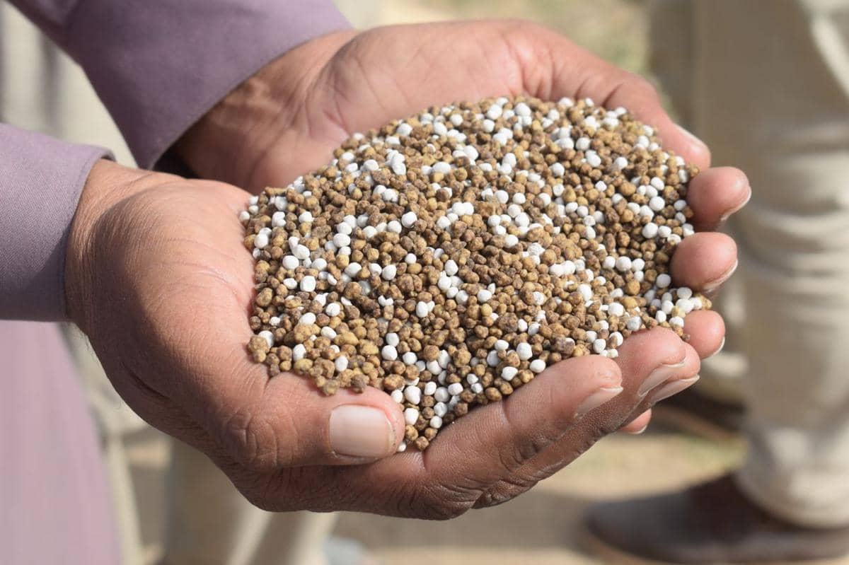 https://www.pexels.com/id-id/foto/tangan-memegang-pupuk-granular-di-luar-ruangan-31673795/
