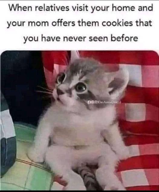 meme kucing tentang mama