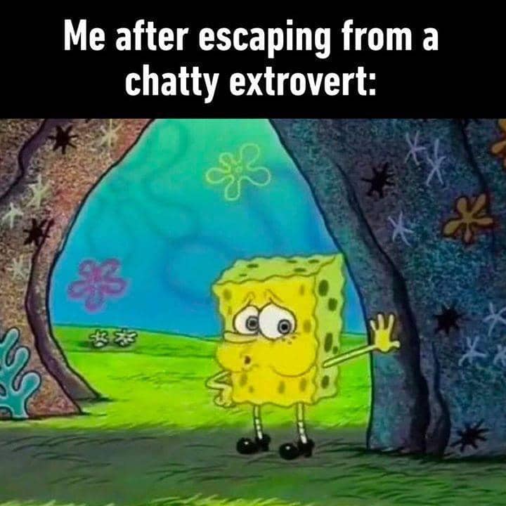 meme SpongeBob tentang bersosialisasi