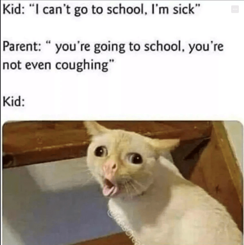meme kucing tentang mama