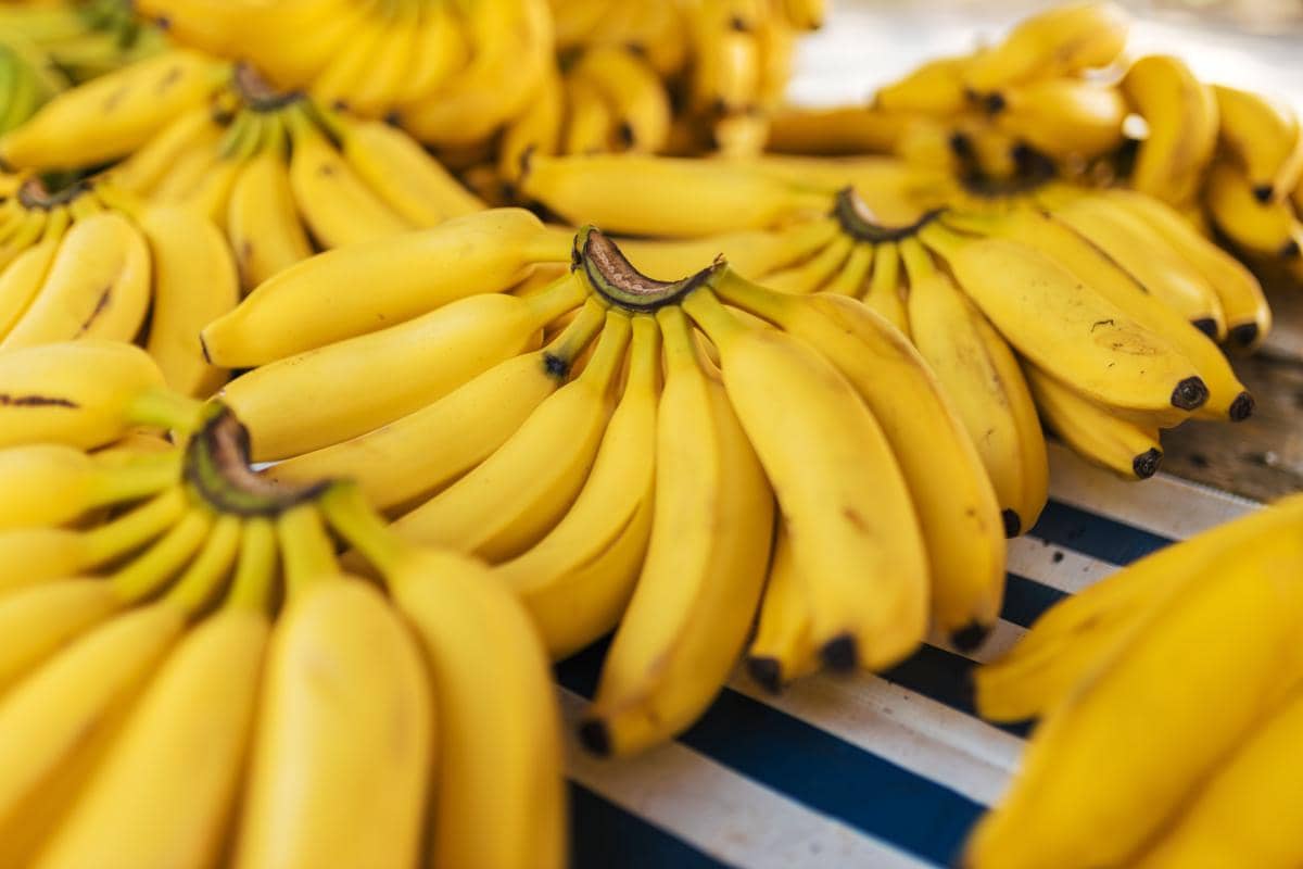 pisang
