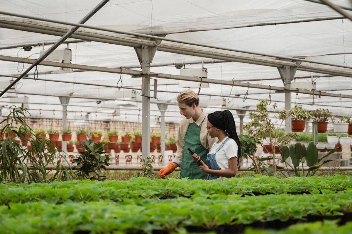 ilustrasi greenhouse