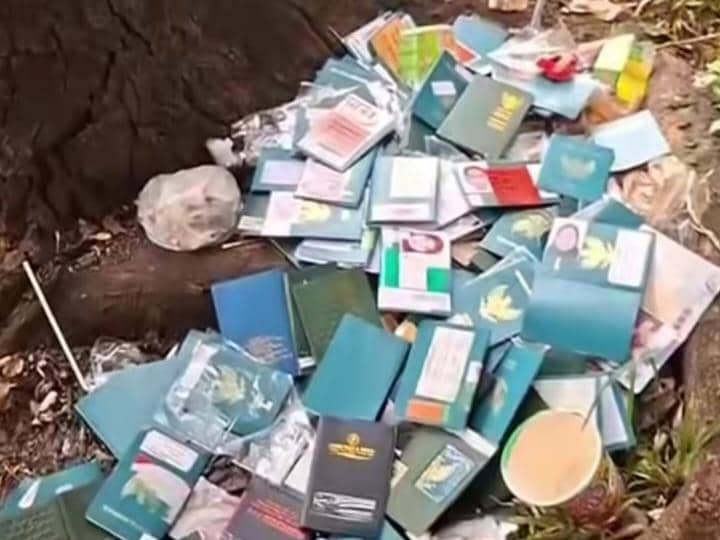 Imigrasi Tangerang Investigasi Penemuan Paspor Berserakan di BSD