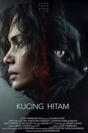 poster film Kucing Hitam