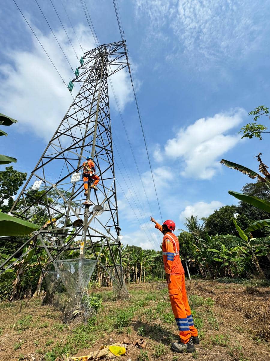 pln, pdkb, panjat tower, petugas pln, transmisi listrik