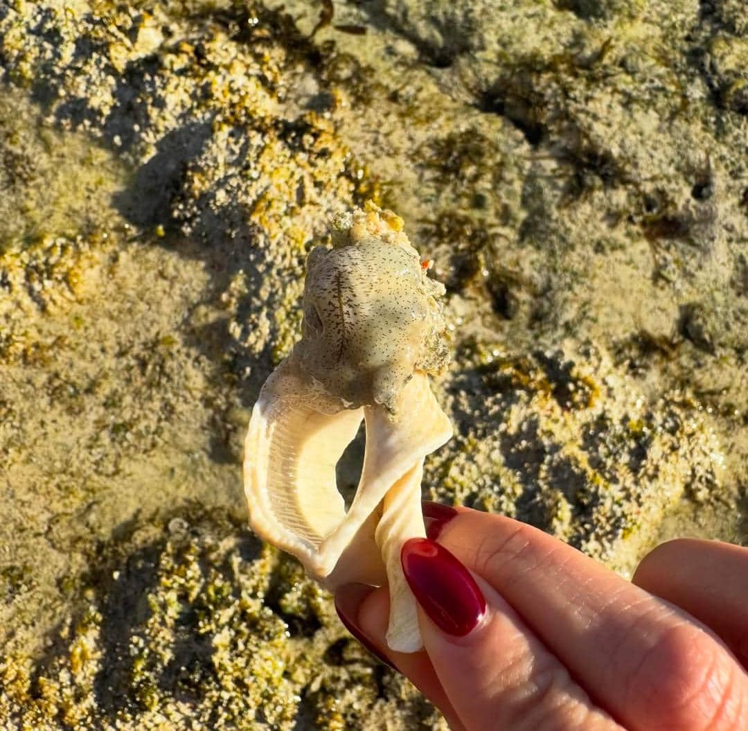 potret Naysilla Mirdad liburan di Pantai Boa, Rote