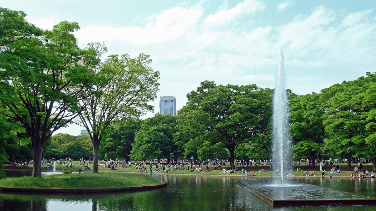 Yoyogi Park Shibuya: Lokasi, Rute, Harga Tiket, dan Tips
