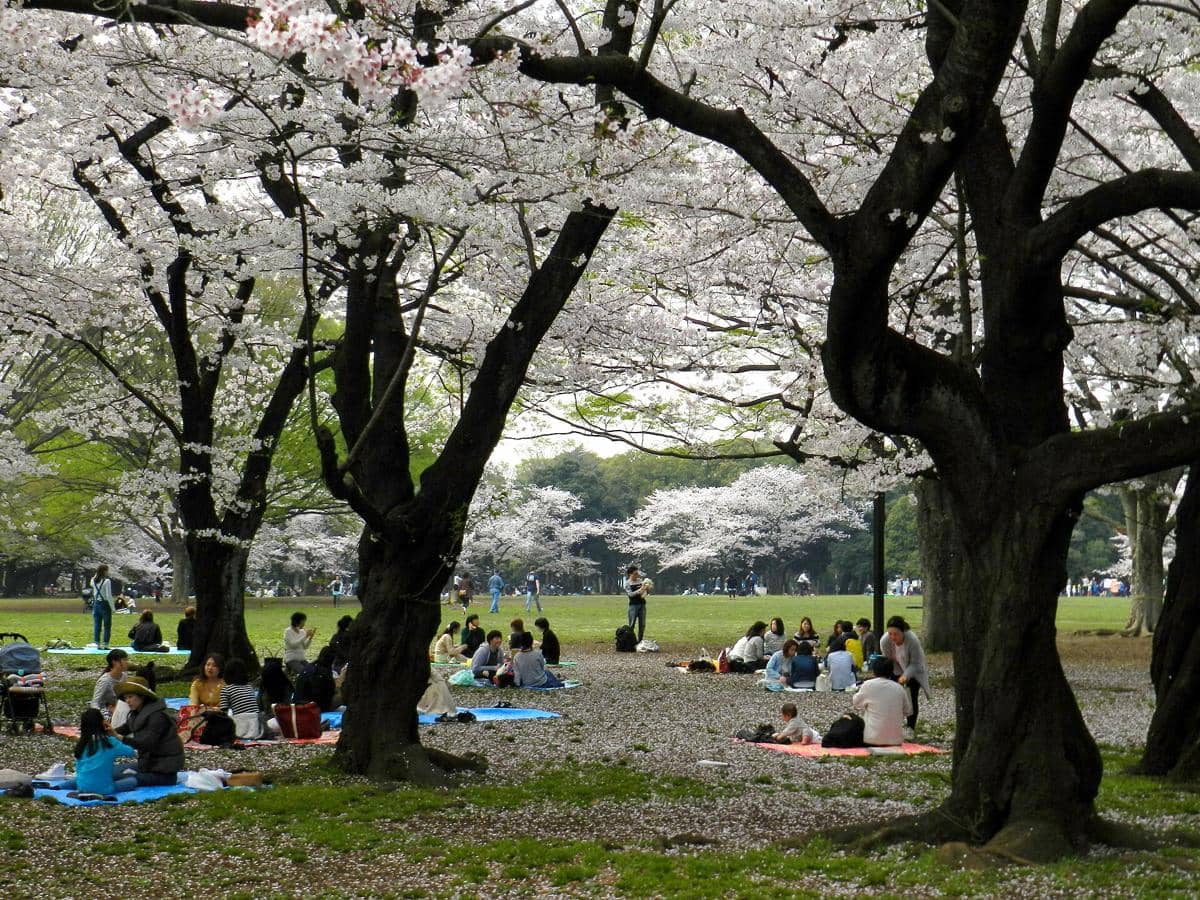 Yoyogi Park
