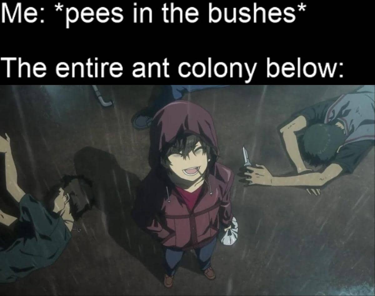 meme anime tentang semut