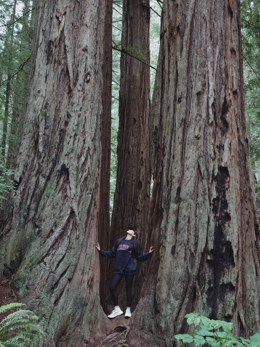 Maudy Ayunda dan suami saat hiking di California