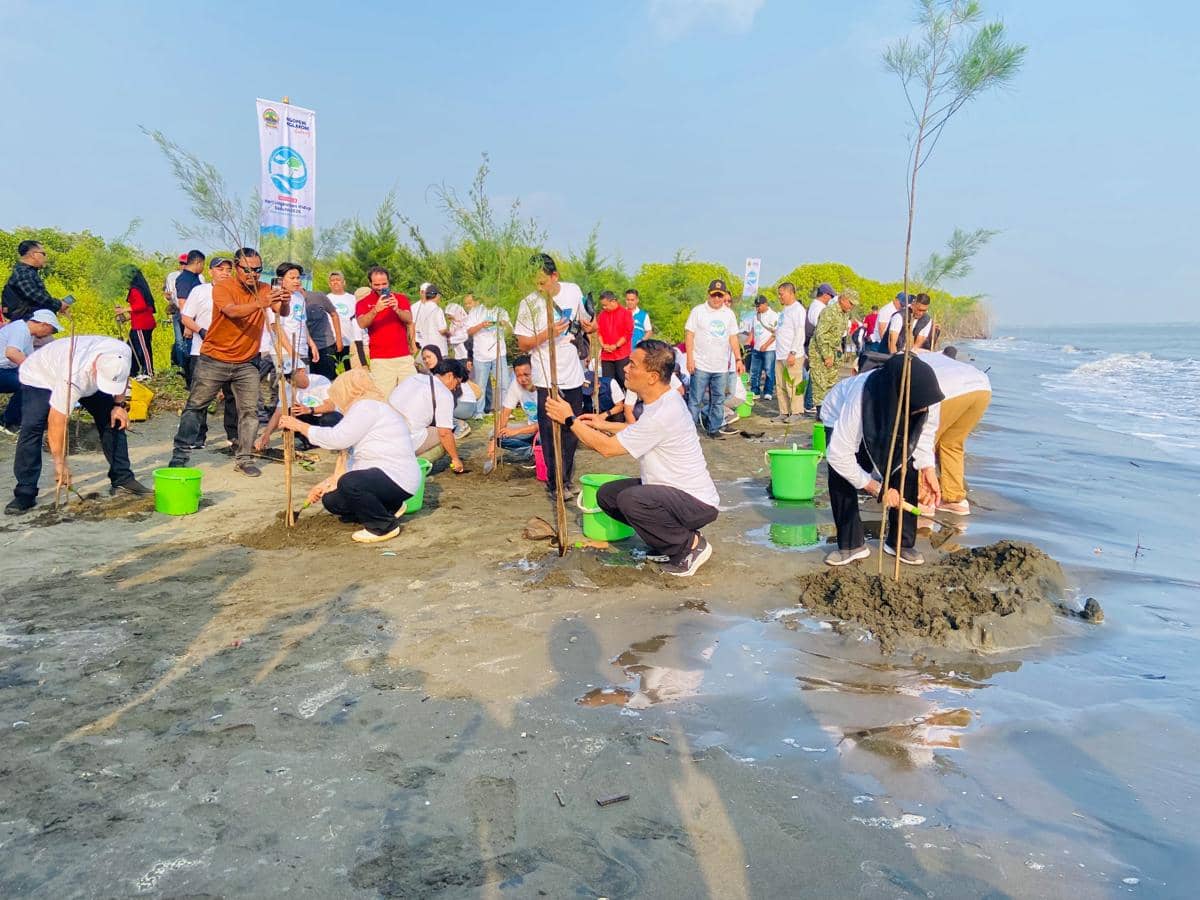 Mageri Segoro: Gerakan Hijau Luthfi Lawan Abrasi Pantai Semarang