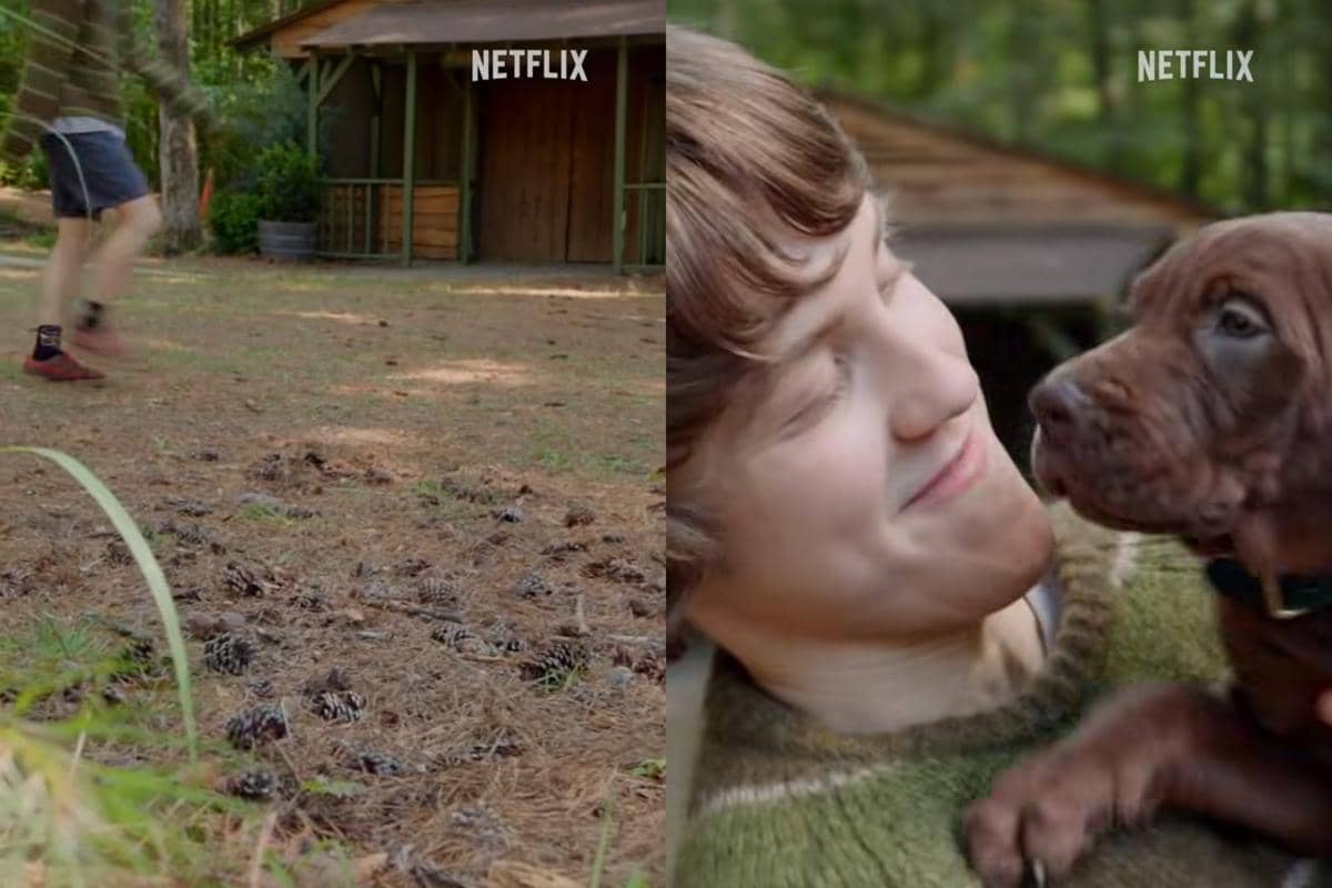 Shaggy tersenyum sambil memeluk Scooby-doo depan kabin kayu di tengah hutan, dengan logo Netflix di sudut gambar.