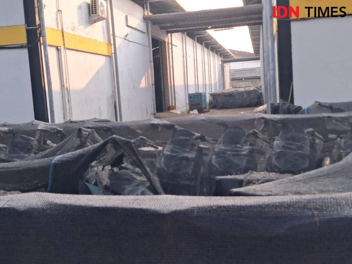 Deretan motor listrik matic terbungkus jaring hitam terparkir di halaman depan gudang EMMO yang bekerja sama dengan BGN.