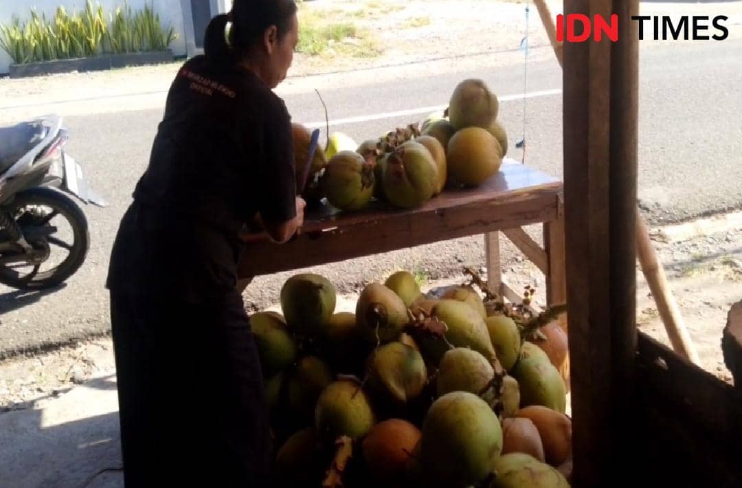 Seorang pedagang perempuan sedang memotong kelapa muda di meja kayu di pinggir jalan dengan tumpukan kelapa di sekitarnya.