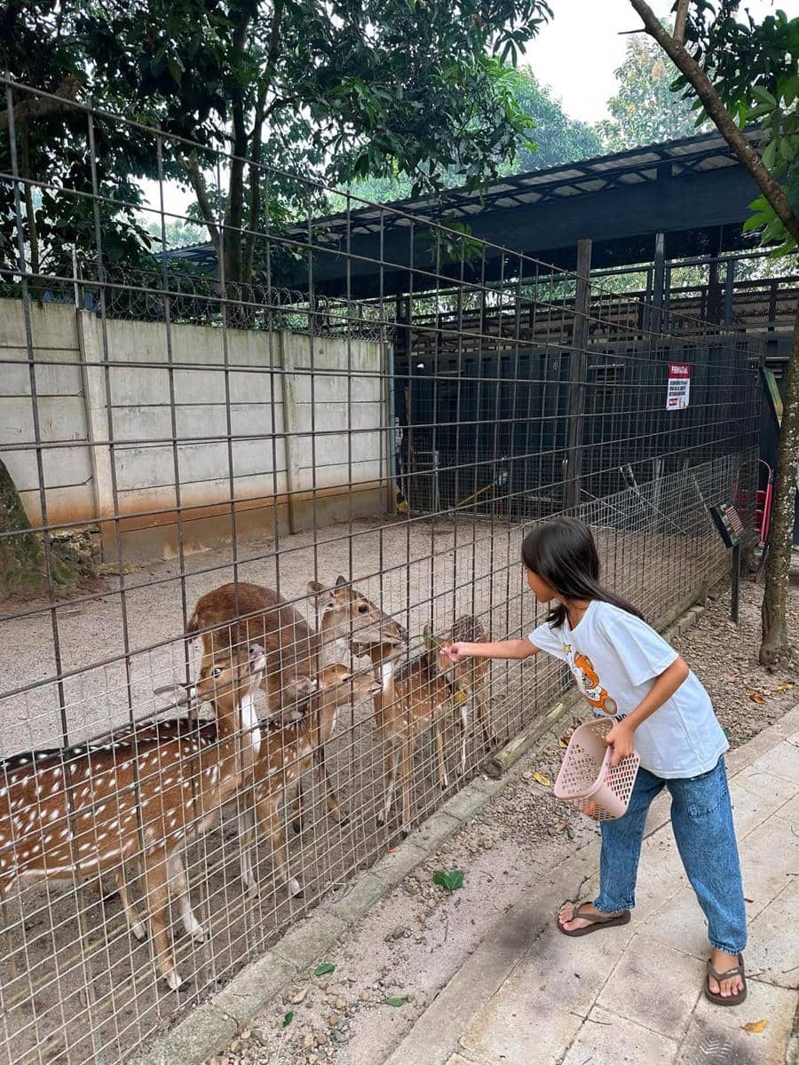 Potret Taman Safari Forest, Bekasi 