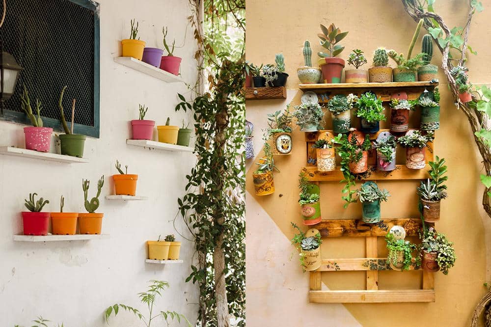 Membuat Vertical Garden untuk Rumah Sempit, Cocok untuk Teras Kecil