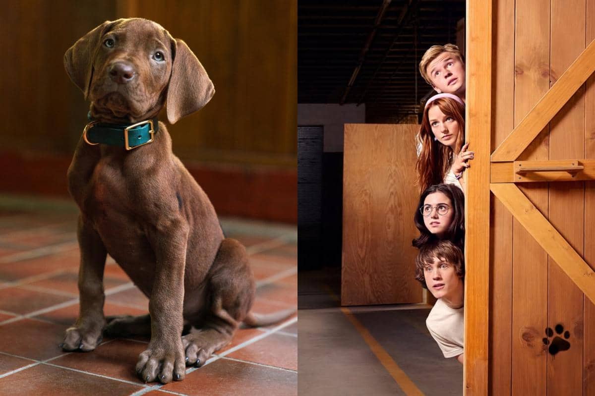 Netflix Akhirnya Spill First Look Scooby-doo Versi Live-Action