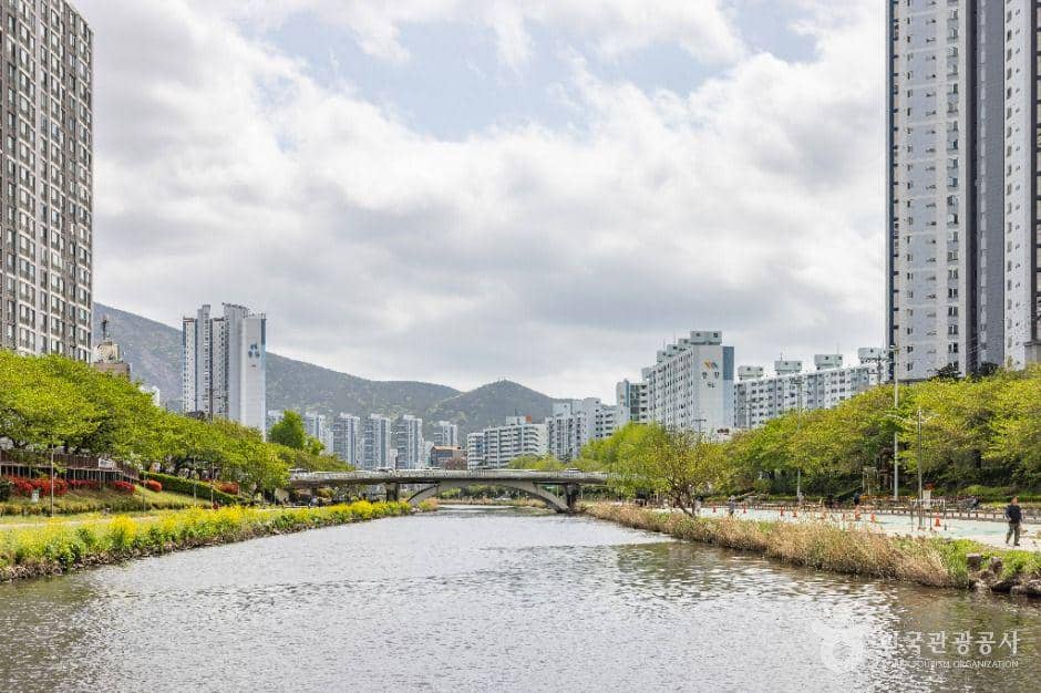 Potret Oncheoncheon Citizens Park di Busan, Korea Selatan