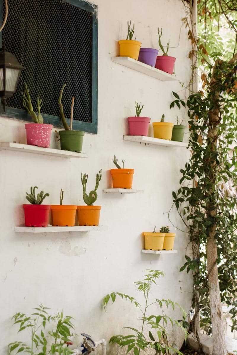Ilustrasi vertical garden (pexels.com/Nadiye Odabaşı)