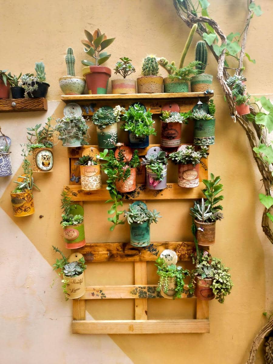 Ilustrasi vertical garden (pexels.com/Pilan Filmes)