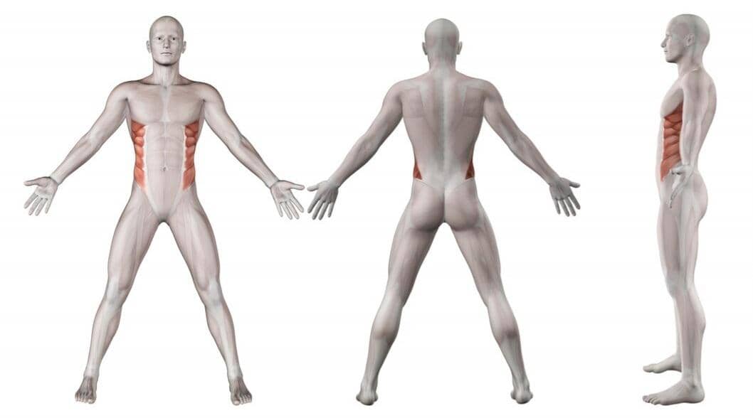 ilustrasi organ tubuh manusia (magnific.com/kjpargeter)