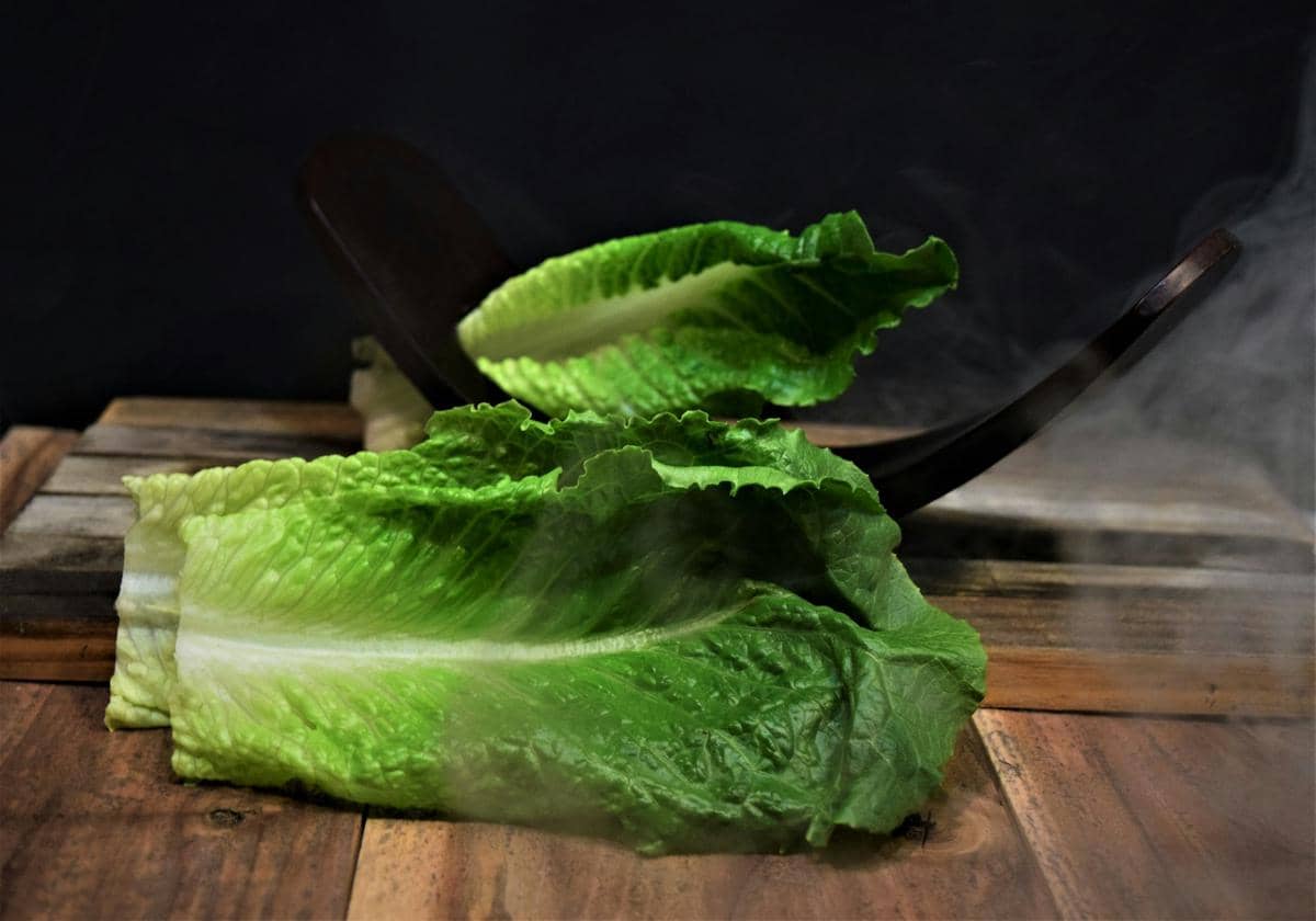 ilustrasi selada romaine