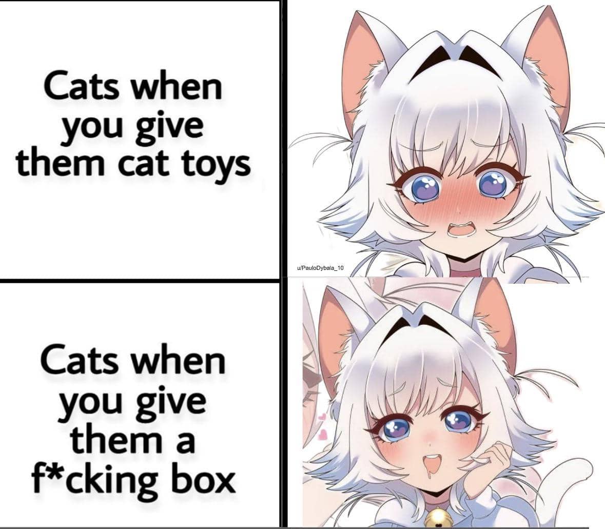meme anime tentang mainan