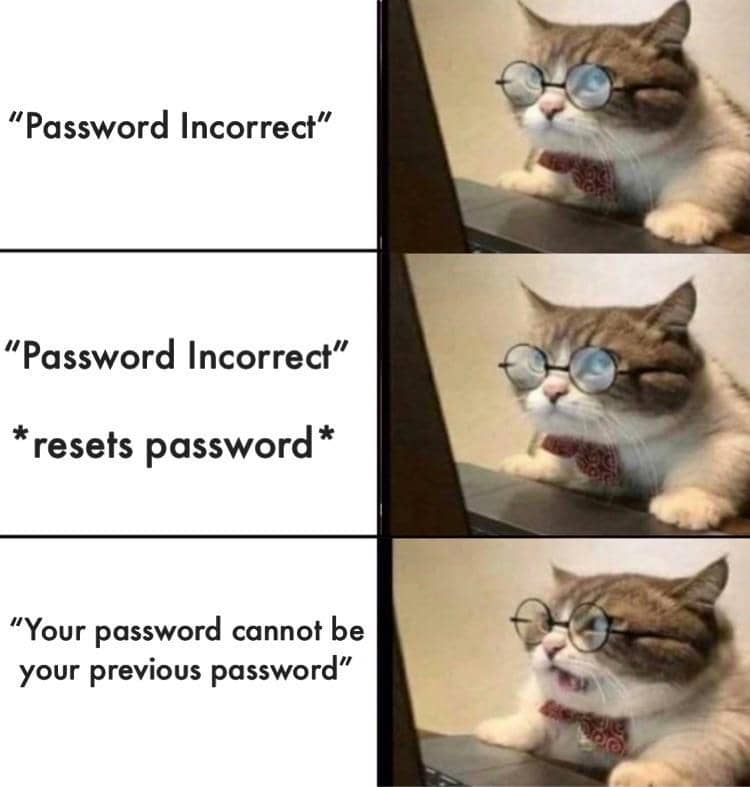 meme kucing tentang kata sandi