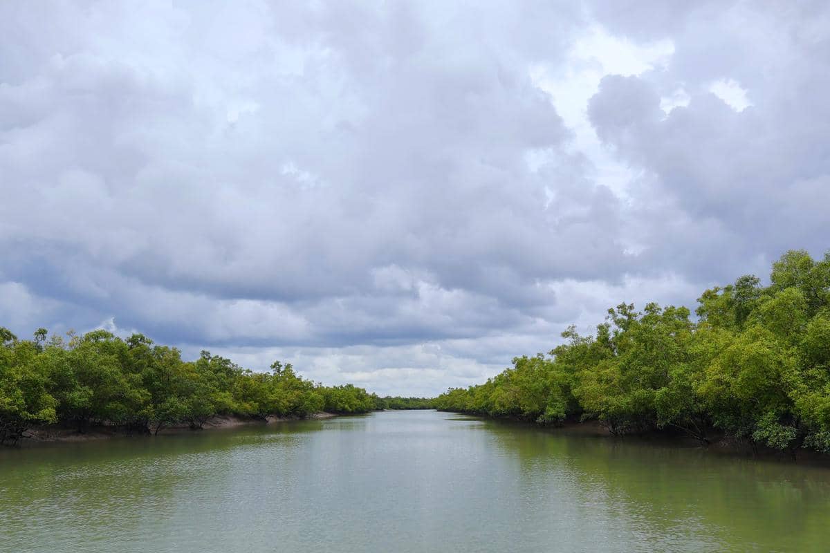 sungai di Sundarbans