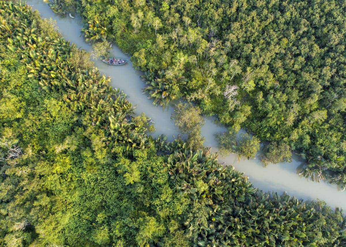 5 Fakta Unik Sundarbans, Hutan Bakau Terbesar di Dunia