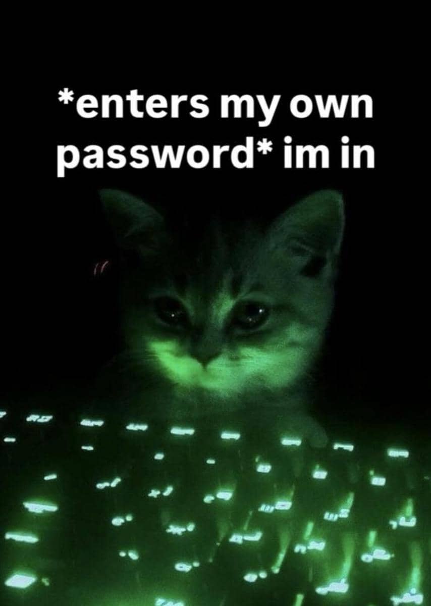 meme kucing tentang kata sandi
