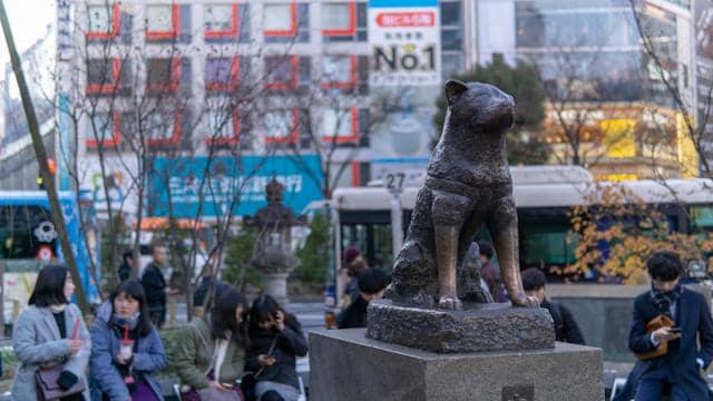 Hachiko Statue, Shibuya, Jepang