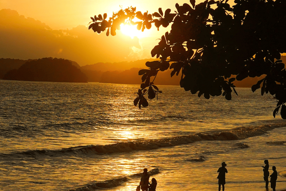Pemandangan matahari terbenam pantai sawarna
