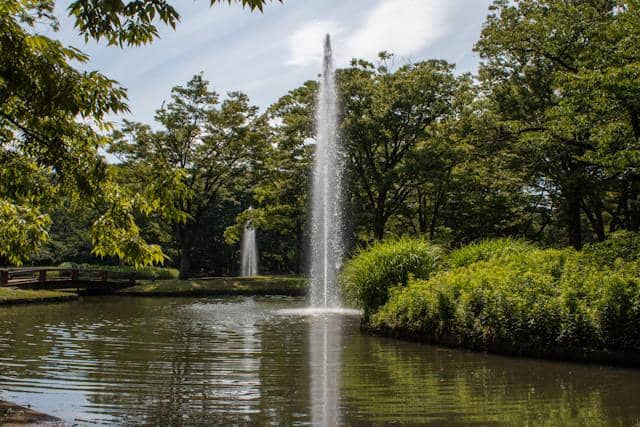 Yoyogi Park, Jepang