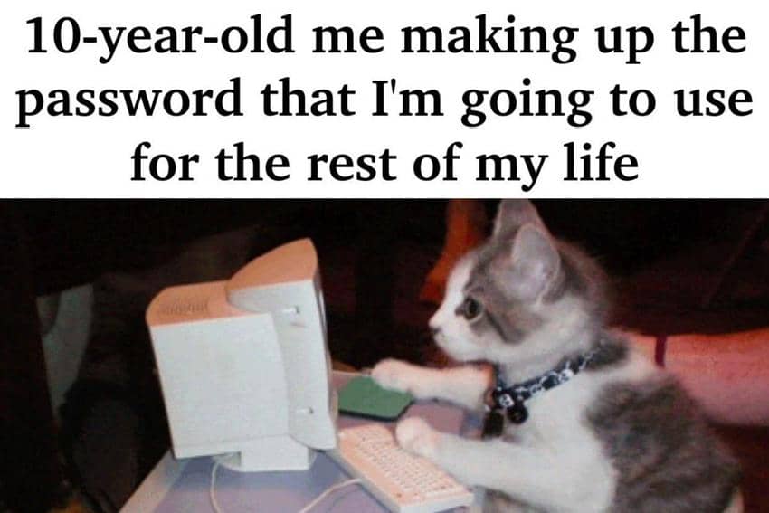 8 Meme Kucing tentang Kata Sandi, Malah Sering Lupa