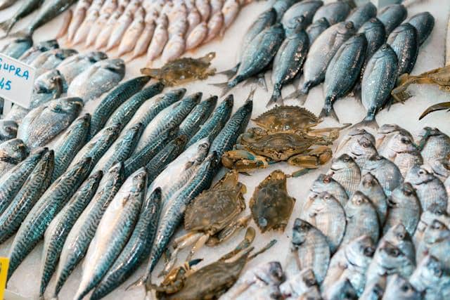 ilustrasi pasar seafood