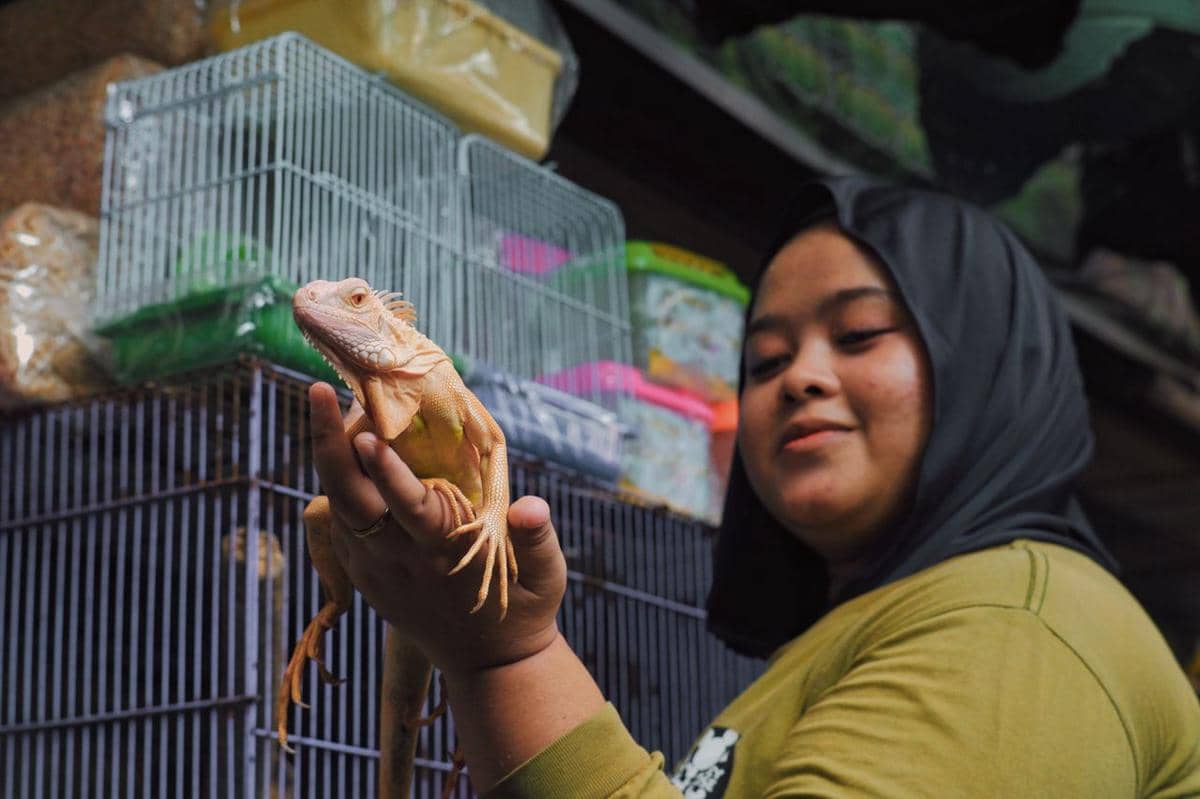 5 Ide Bisnis dari Kecintaan pada Reptil, Niche Market dengan Potensi