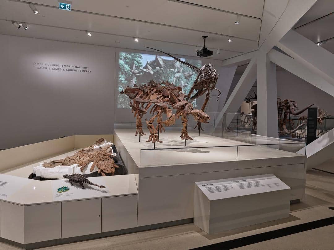 Royal Ontario Museum