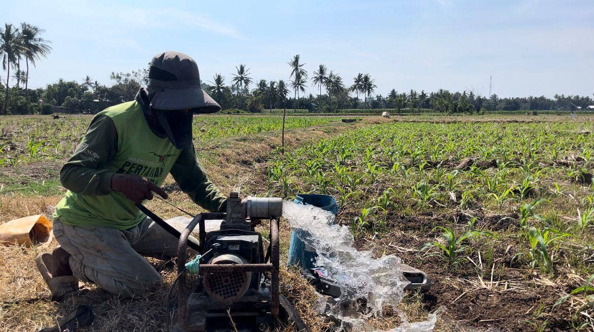 Pompanisasi sawah yang ditenagai aliran listrik PLN kini dinikmati petani di Desa Maritengngae, Kabupaten Pinrang. (Dok. IDN Times/Istimewa)