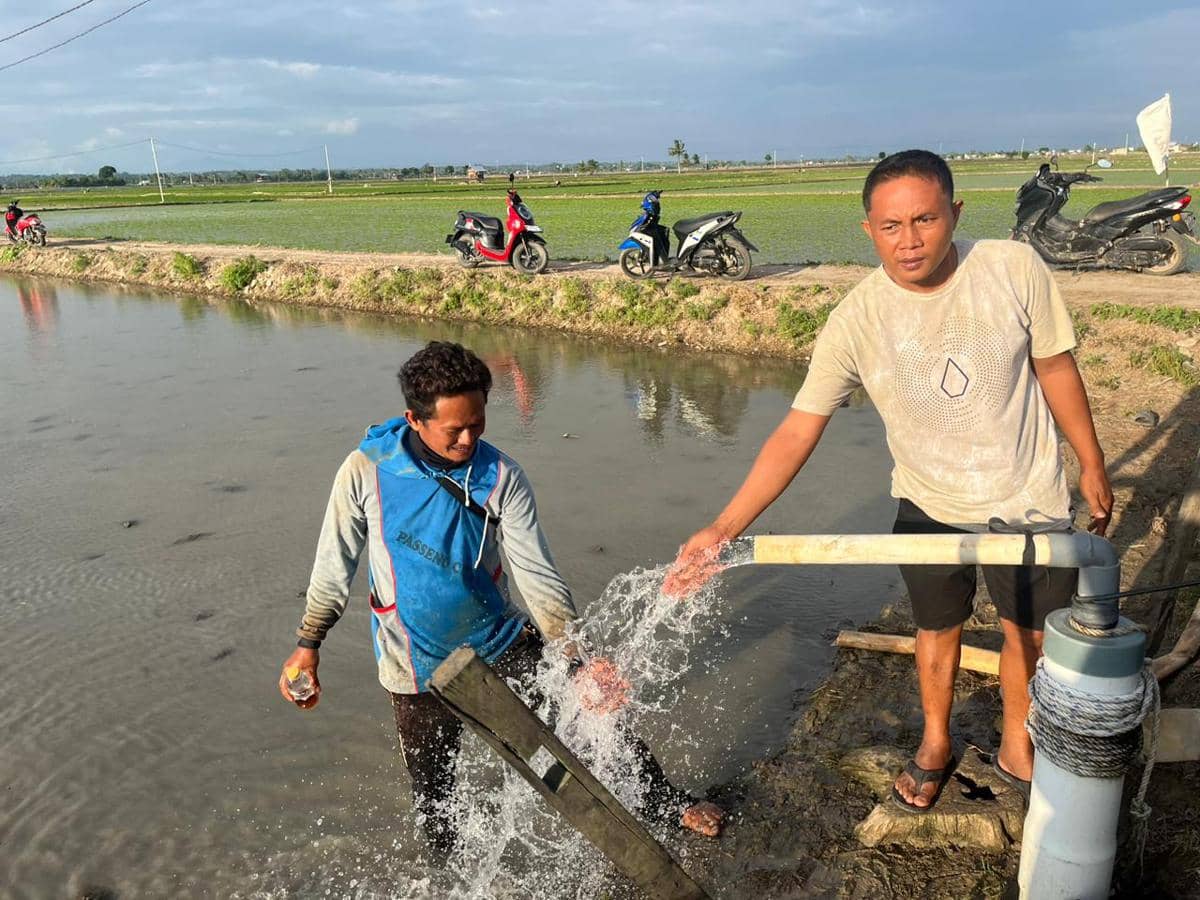 4.280 Petani-Peternak Sulselrabar Pangkas Biaya Berkat Electrifying Agriculture PLN
