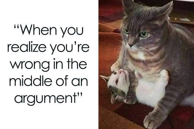 8 Meme Kucing tentang Adu Argumen, Malah Pasang Muka Lucu