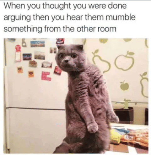 meme kucing tentang adu argumen