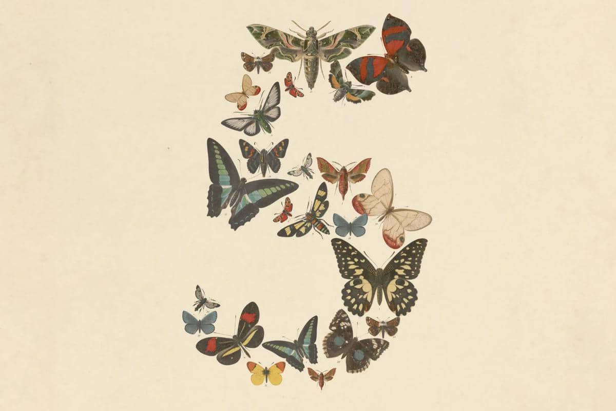 ilustrasi Claude Fable 5
