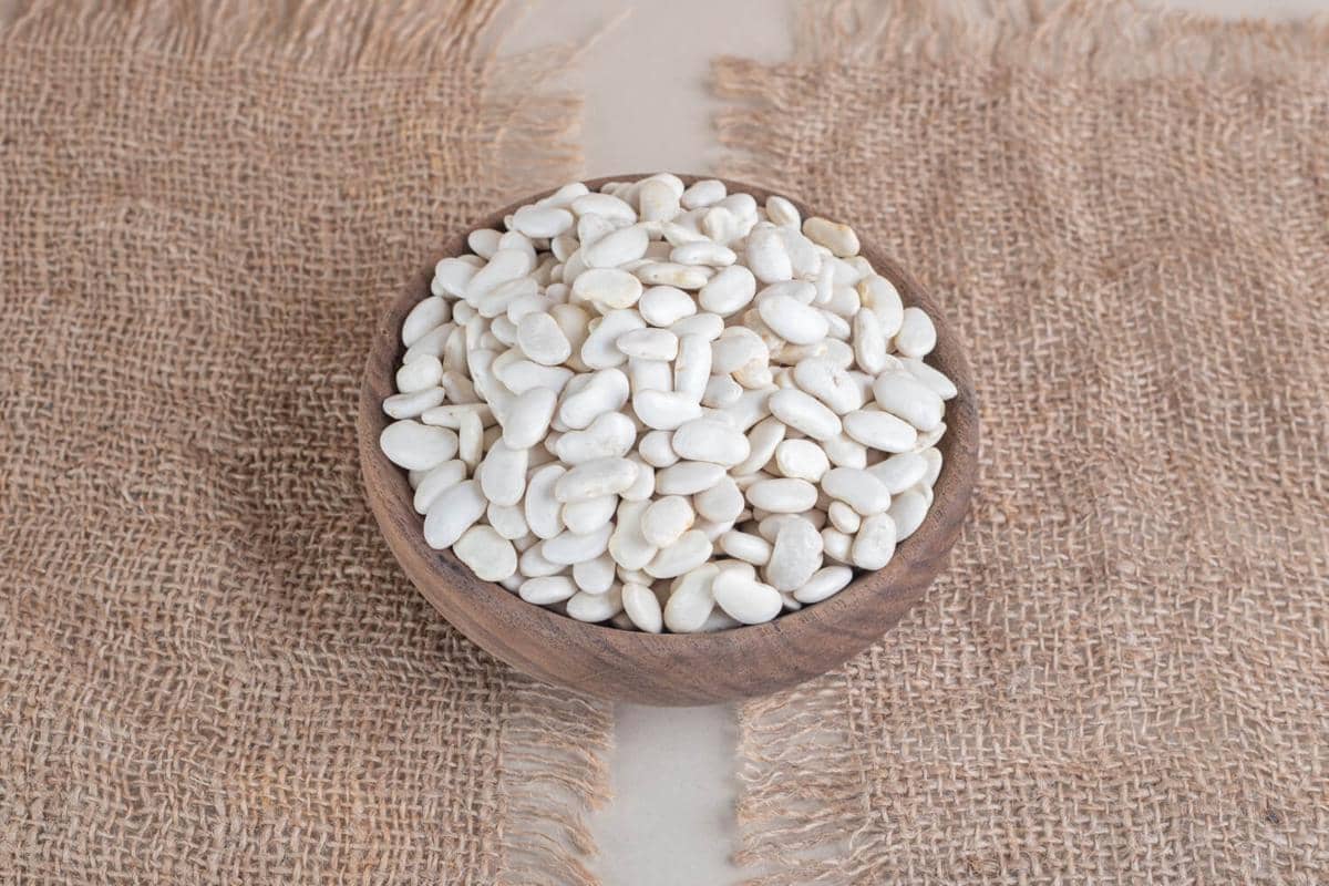 ilustrasi kacang putih, white beans