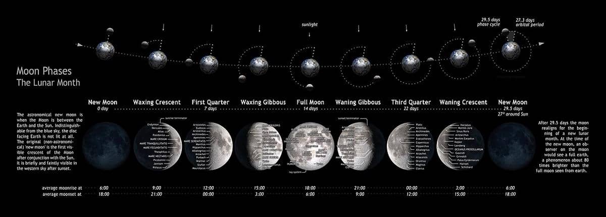 Infografis siklus fase Bulan selama 29,5 hari.