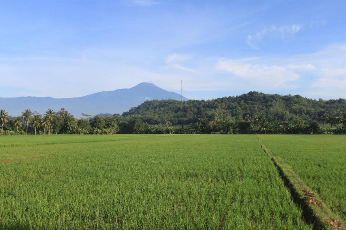 Pendakian Gunung Slamet Kembali Dibuka Per 10 Juni 2026, Ini Syarat dan Batas Amannya