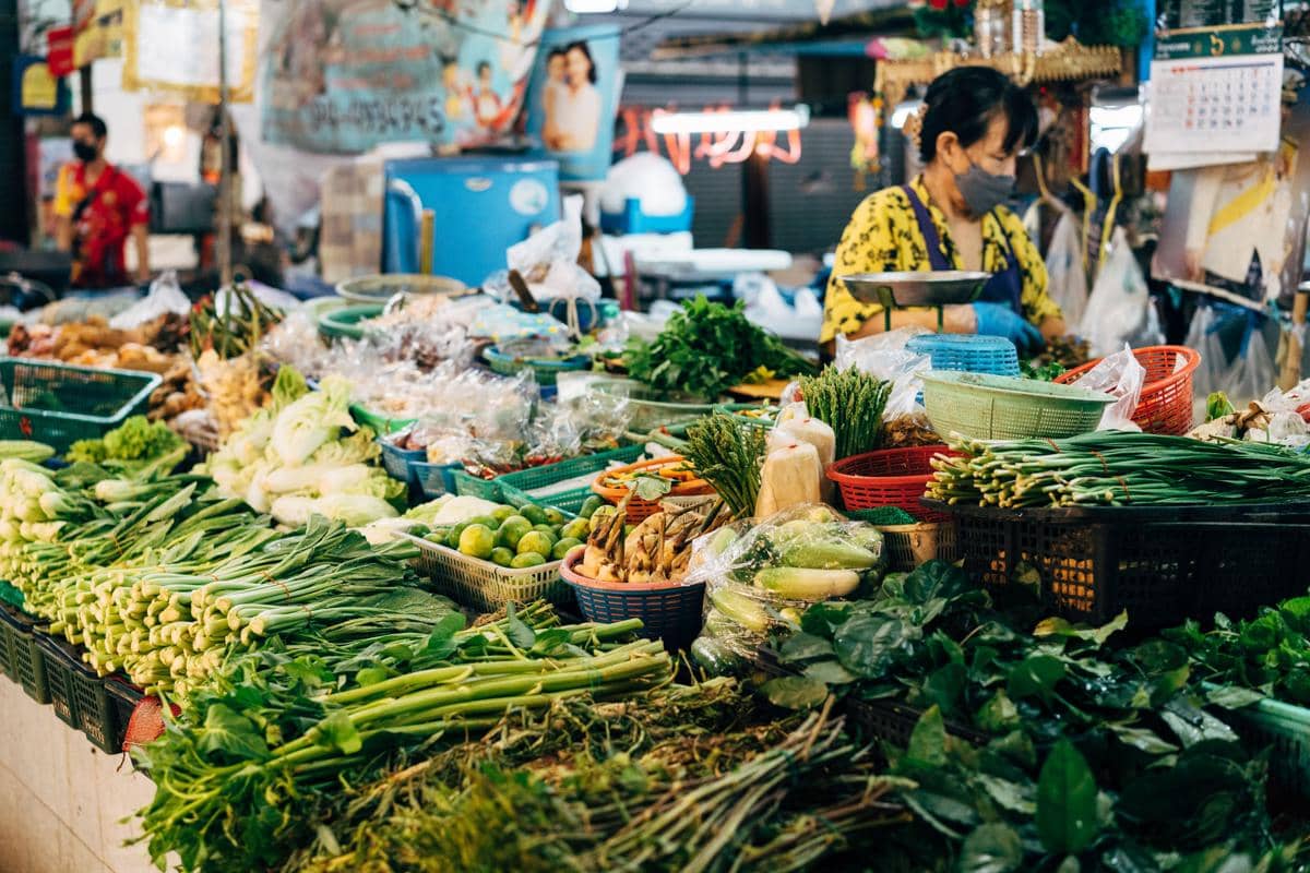 ilustrasi belanja sayur