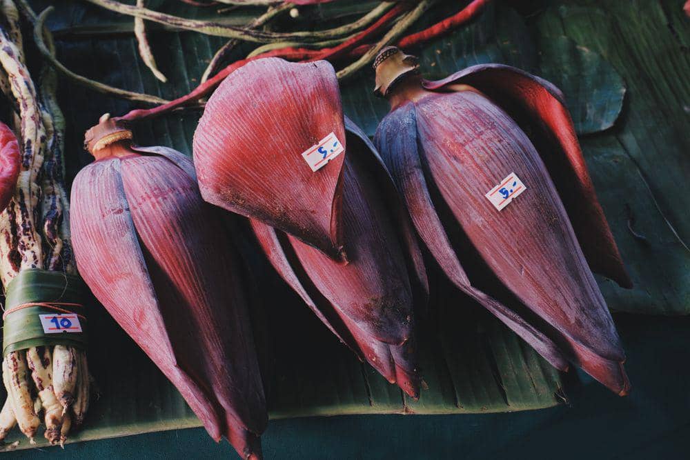 6 Sayur Pengganti Nasi yang Bikin Perut Kenyang Lebih Lama Tanpa Bikin Ngantuk